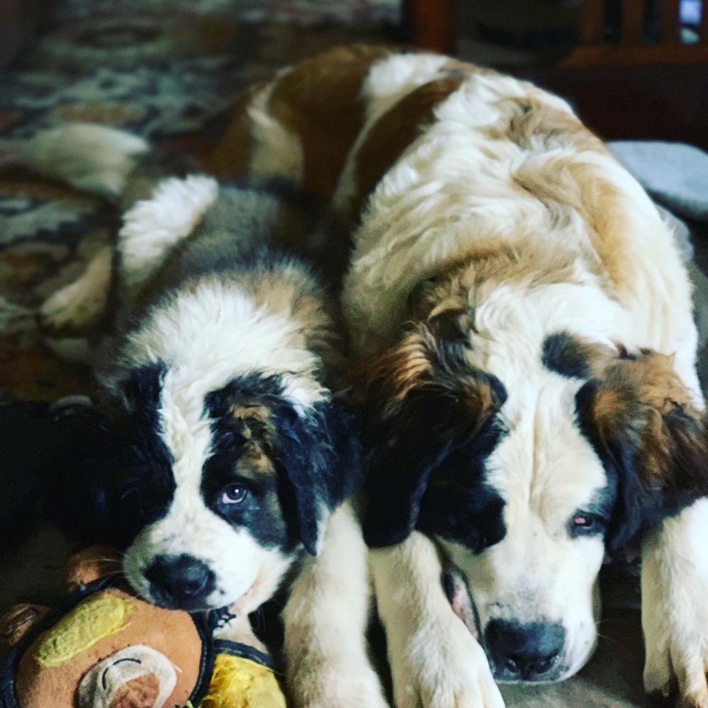 Meet your Posher, Moira